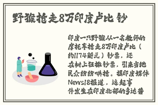 **XXXXBBBB视频.专区